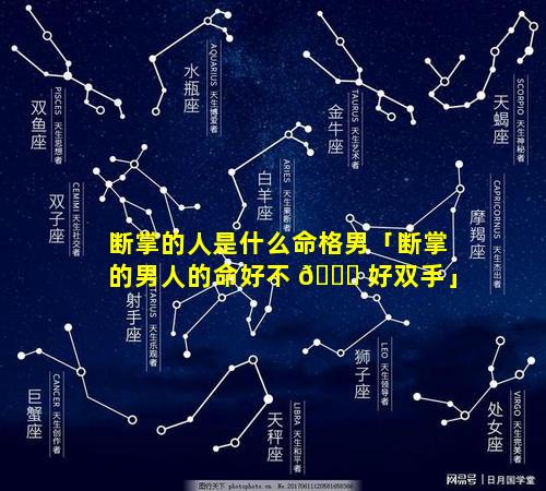 断掌的人是什么命格男「断掌的男人的命好不 🐒 好双手」